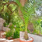 Neonila * Mlini